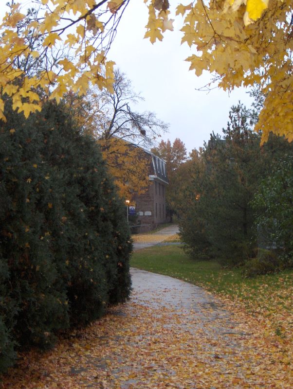 a pathway that leads to the building in the background