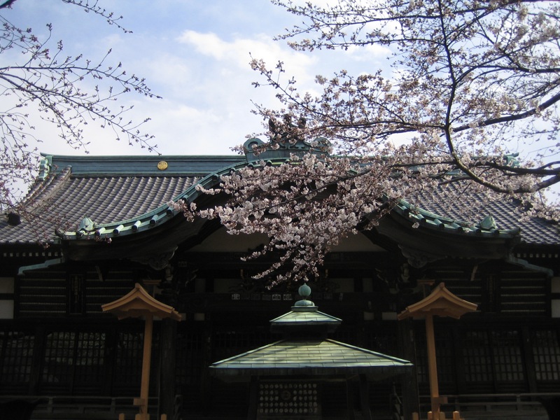 a beautiful view of a building through trees with white flowers