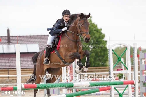 a young person on the back of a horse jumping over an obstacle