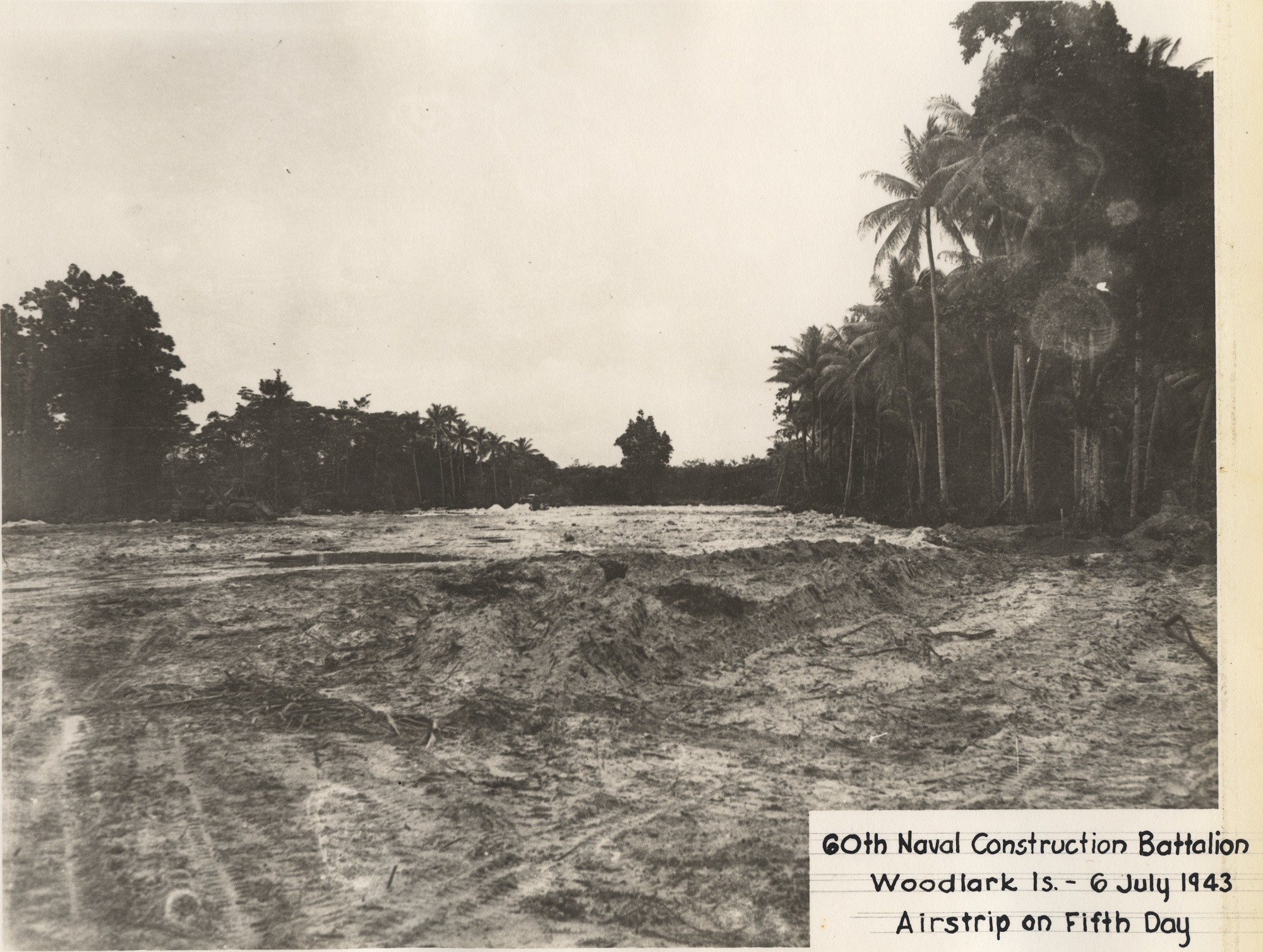 a black and white po shows a swampy area