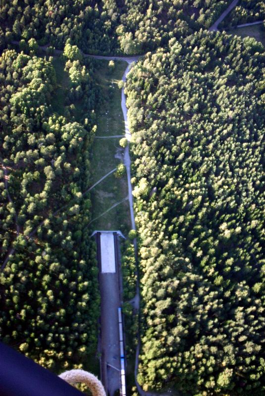 aerial view from a window of a plane flying over trees