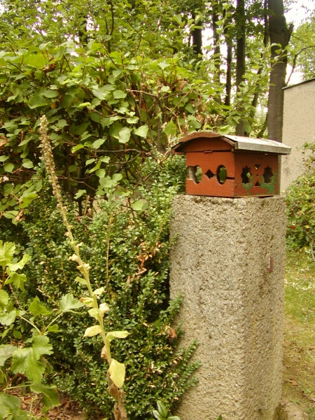 a birdhouse is sitting beside some trees and bushes