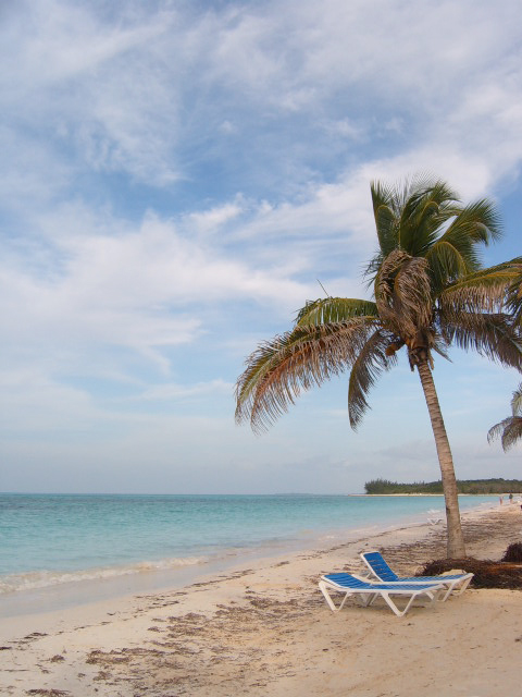beach with lounge chairs and palm trees in background