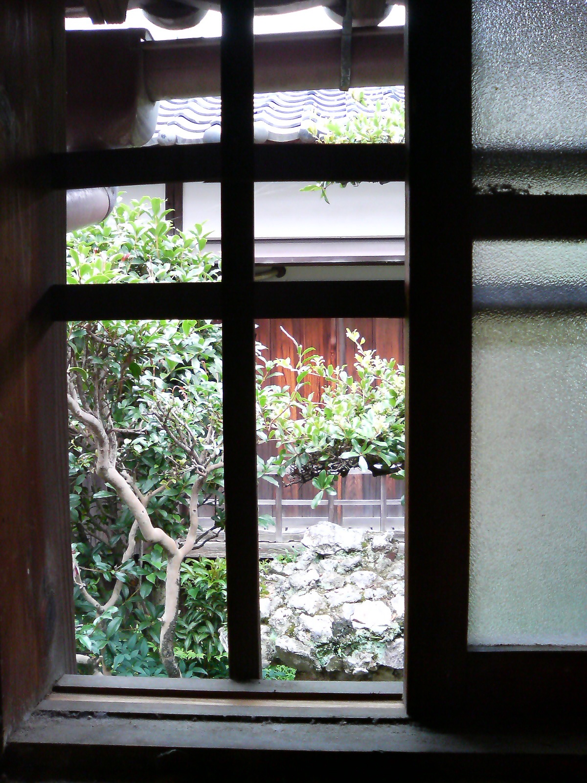 a window view looking out to the outside