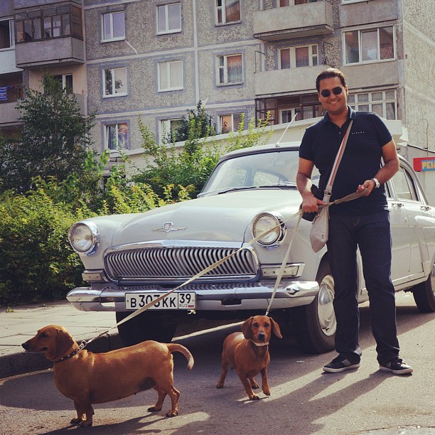 a man in sunglasses with two dogs in front of a car