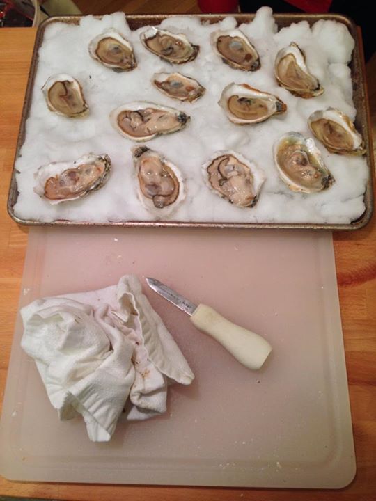 an assortment of oysters on a table with a knife