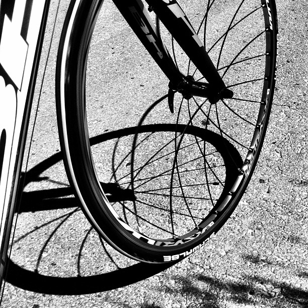 an image of bicycle wheels with the shadows cast