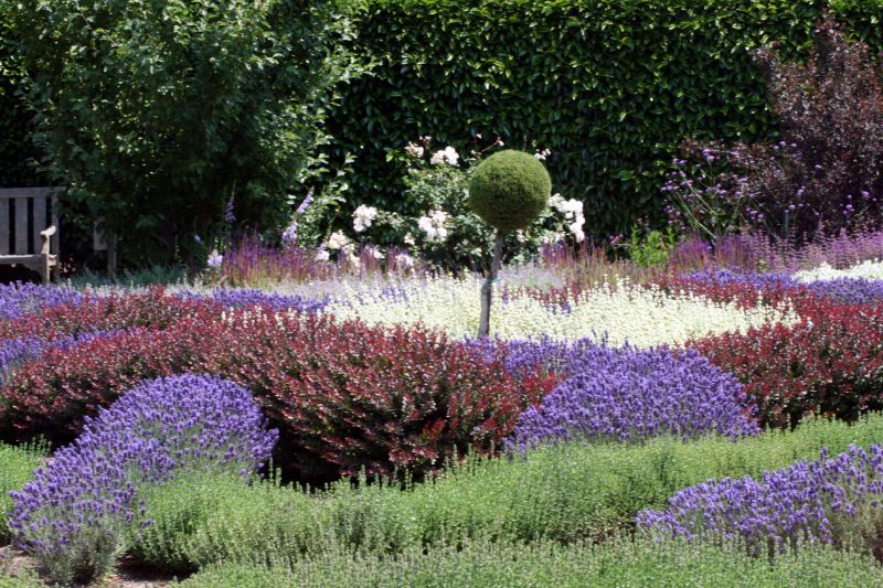 a bench sits in front of a flower garden