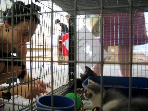 a man is tending to a cat in the cage