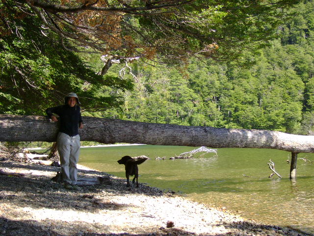 a man and dog standing by a fallen tree