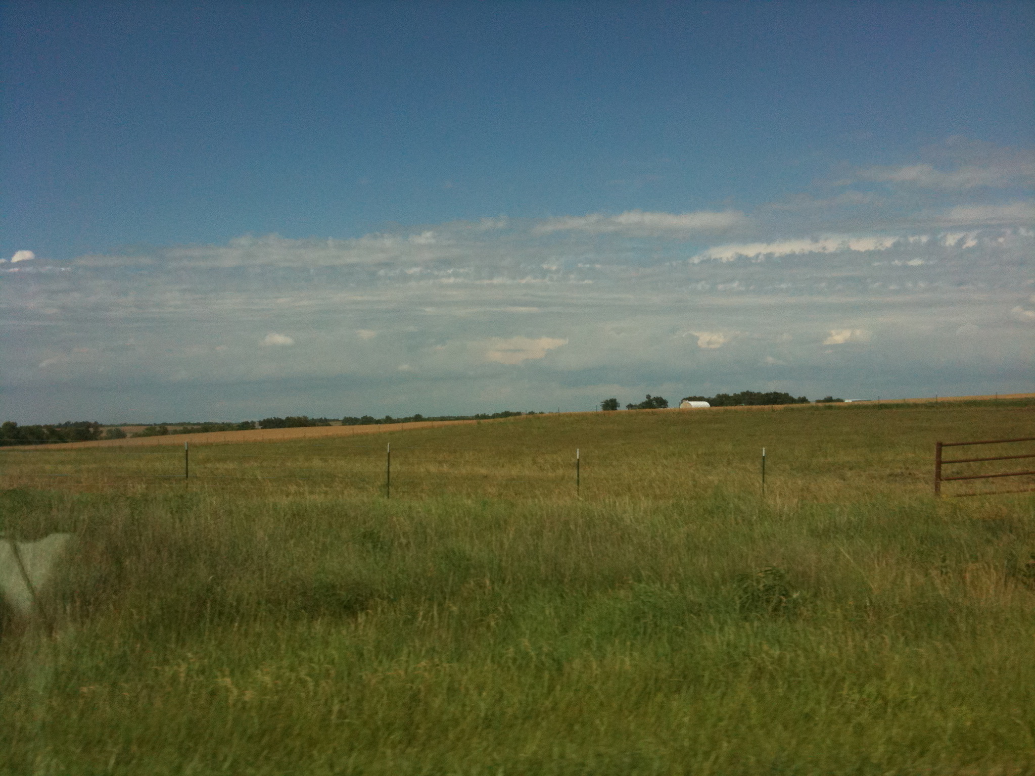 the view of a field with green grass and a fence