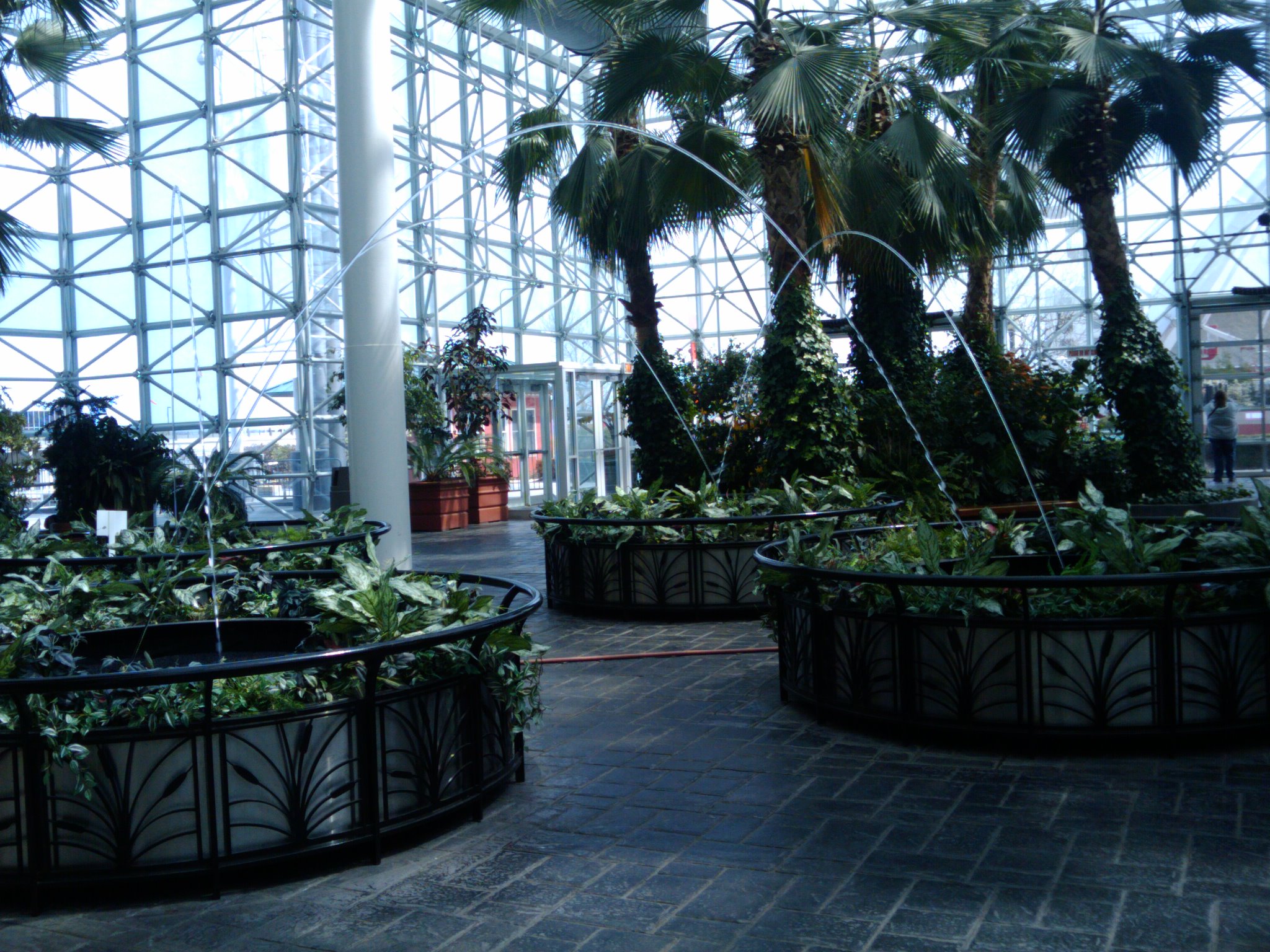 an inside view of a building with some plants