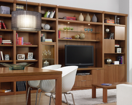 a living room with a large bookshelf full of furniture