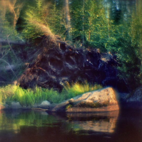 a large rock in a body of water near a forest