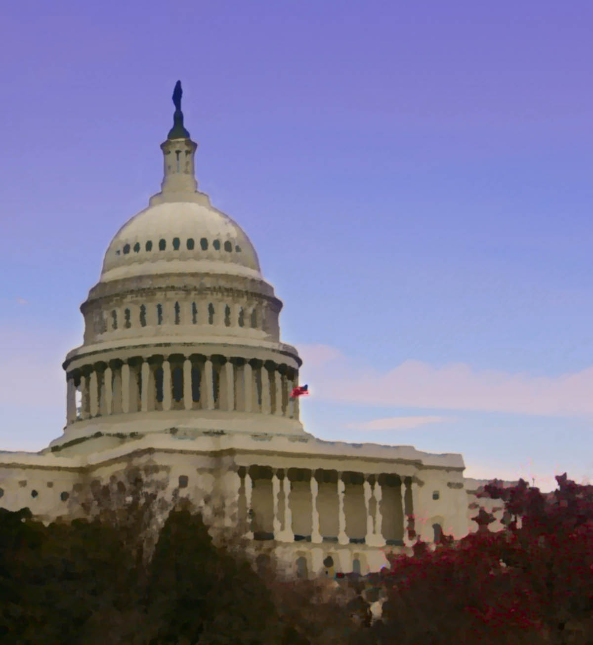 the u s capitol building at dusk, with cherry trees in the foreground