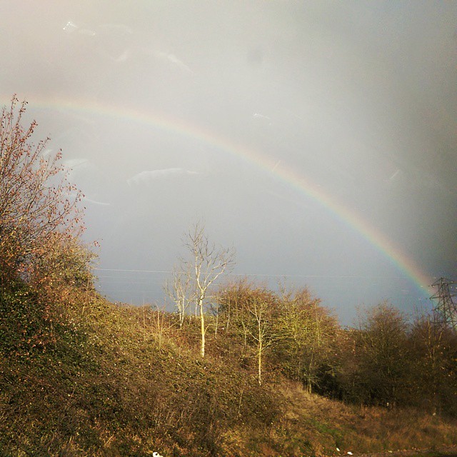 a double rainbow shines as seen from behind a tree lined hill