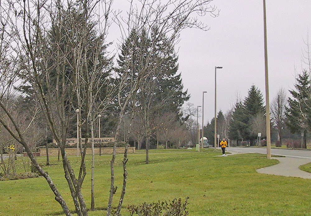 a grassy field is pictured in the foreground and a fire hydrant with two signs near it