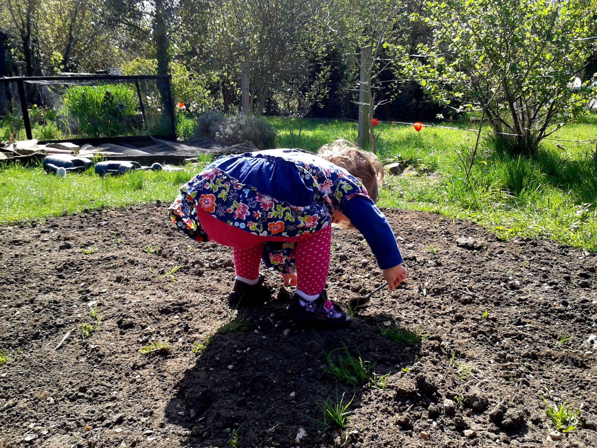 a small child digging in a patch of dirt