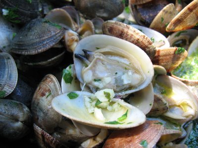 a large plate full of clams and other foods