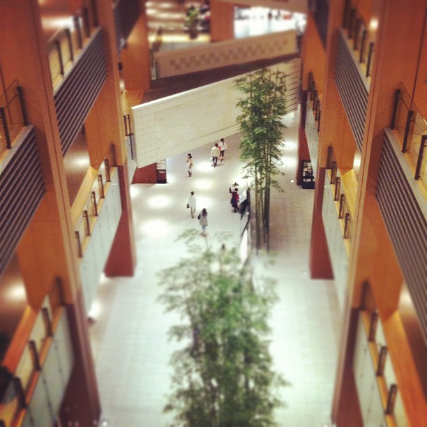 an aerial view of people walking down the stairs at a shopping mall