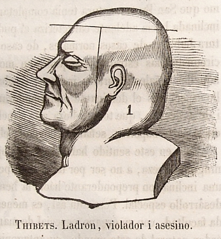 the diagram above shows the head and shoulders of an old man