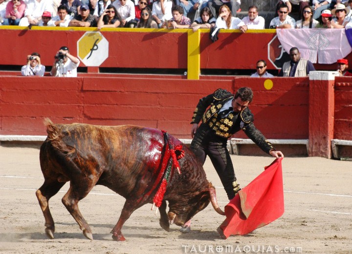 the man tries to get to the bull