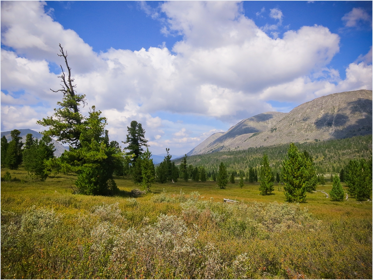 a scenic scene of a landscape and a mountain