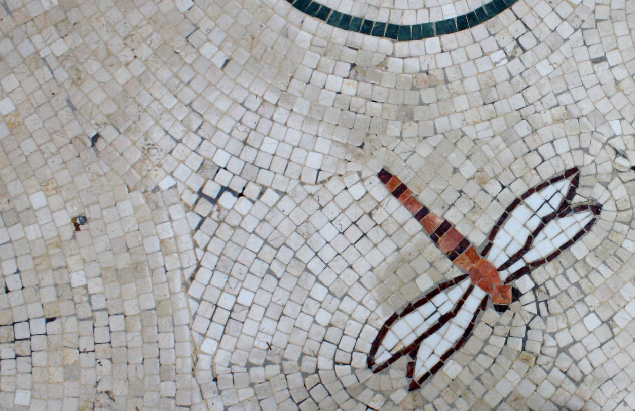 a mosaic floor with a red dragonfly drawn on it