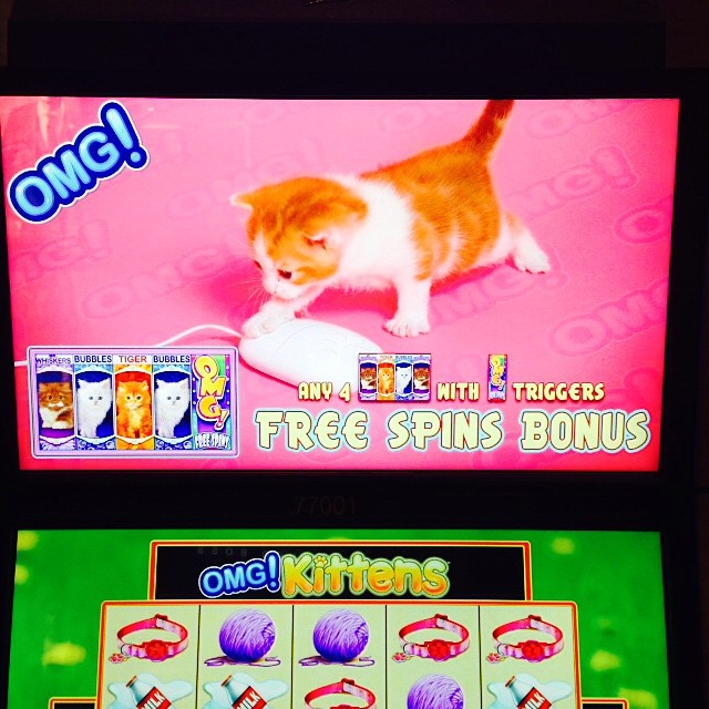 two slot machines showing cats and an animal
