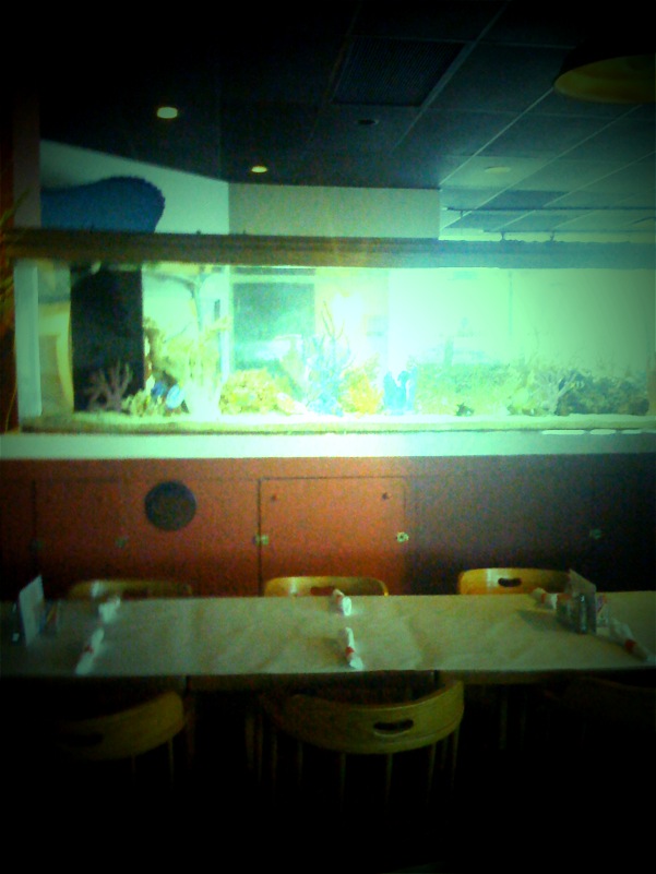 the restaurant features very low lighting, an aquarium with fish and other life