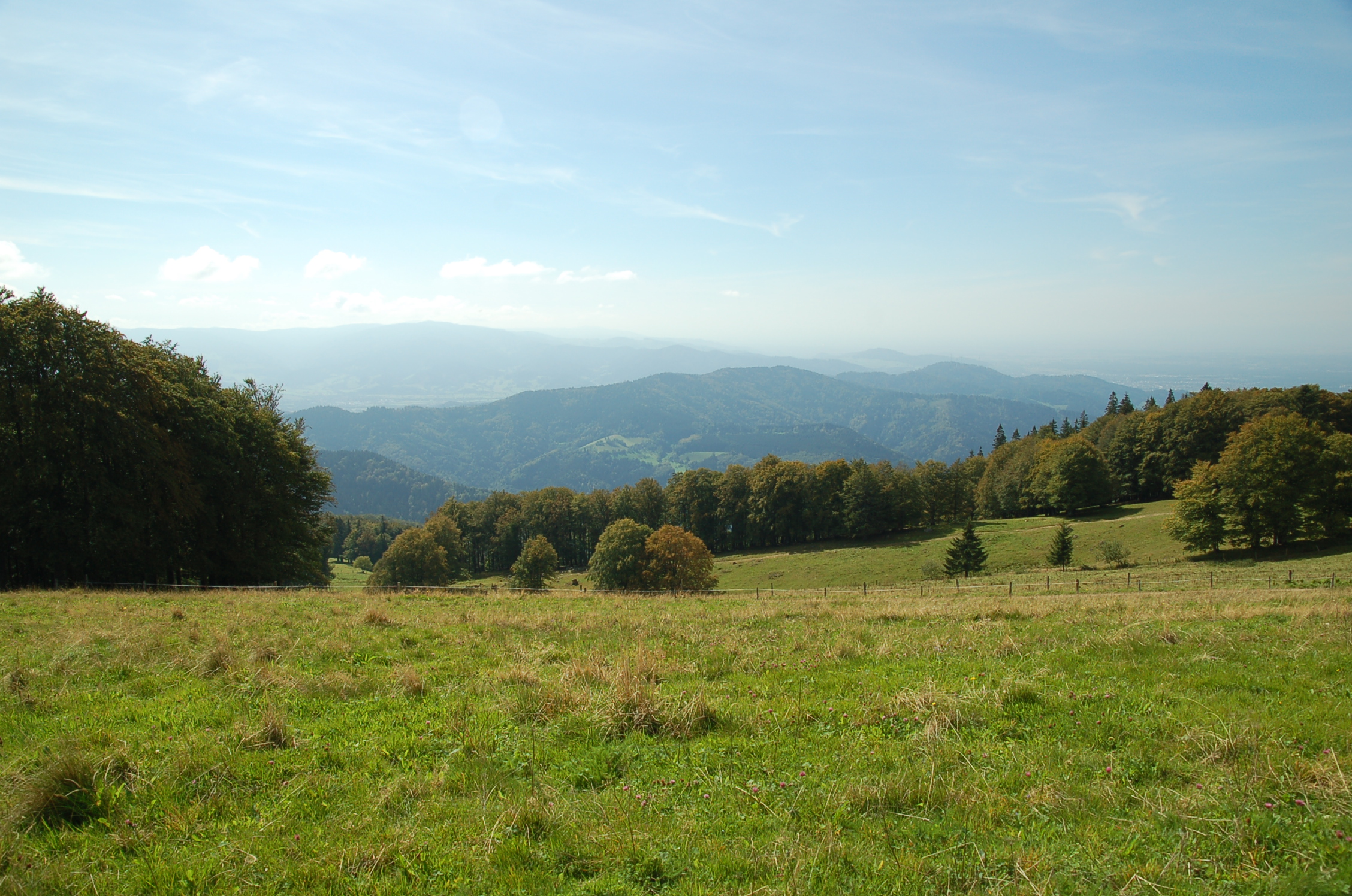 there is a green grassy field with trees and mountains in the background