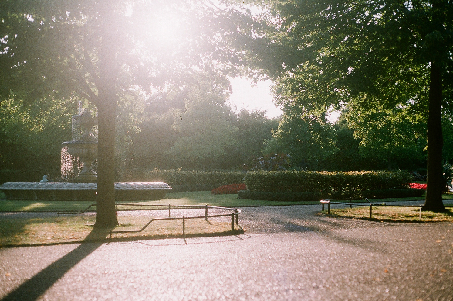 sun rays shine through a park with benches