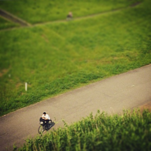 a person riding a bike down a hill