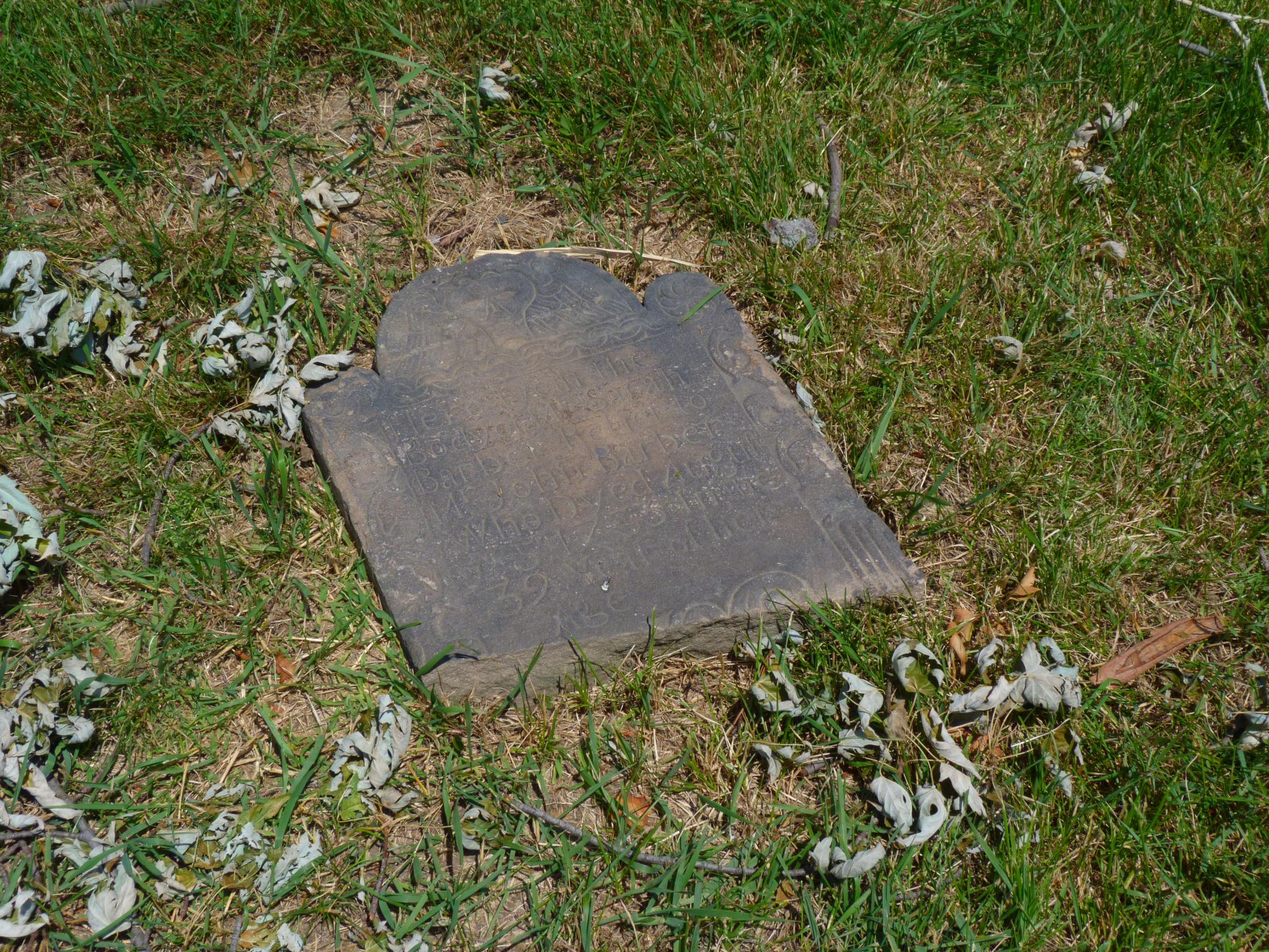 a small stone sitting in a grassy area