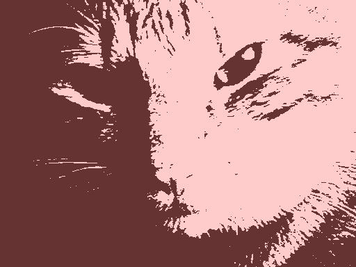 a black and white po of a cat with red background