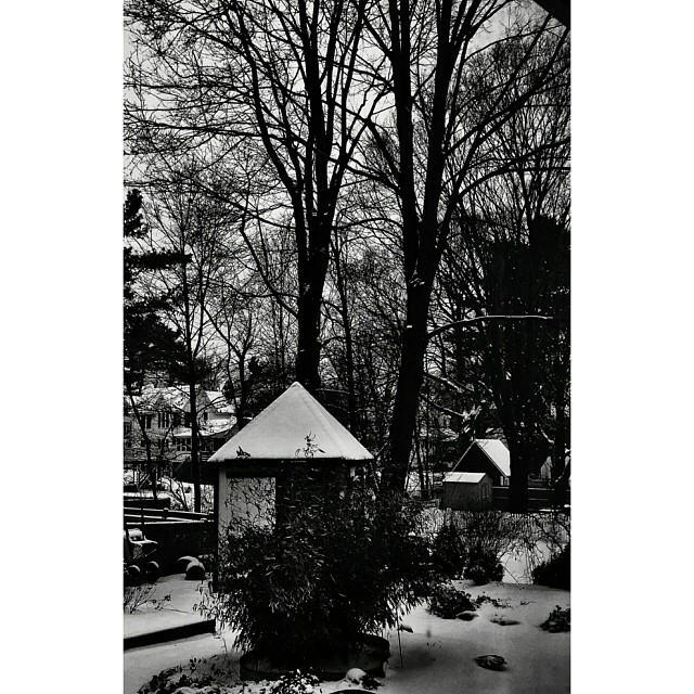 an outhouse sits among trees and snow