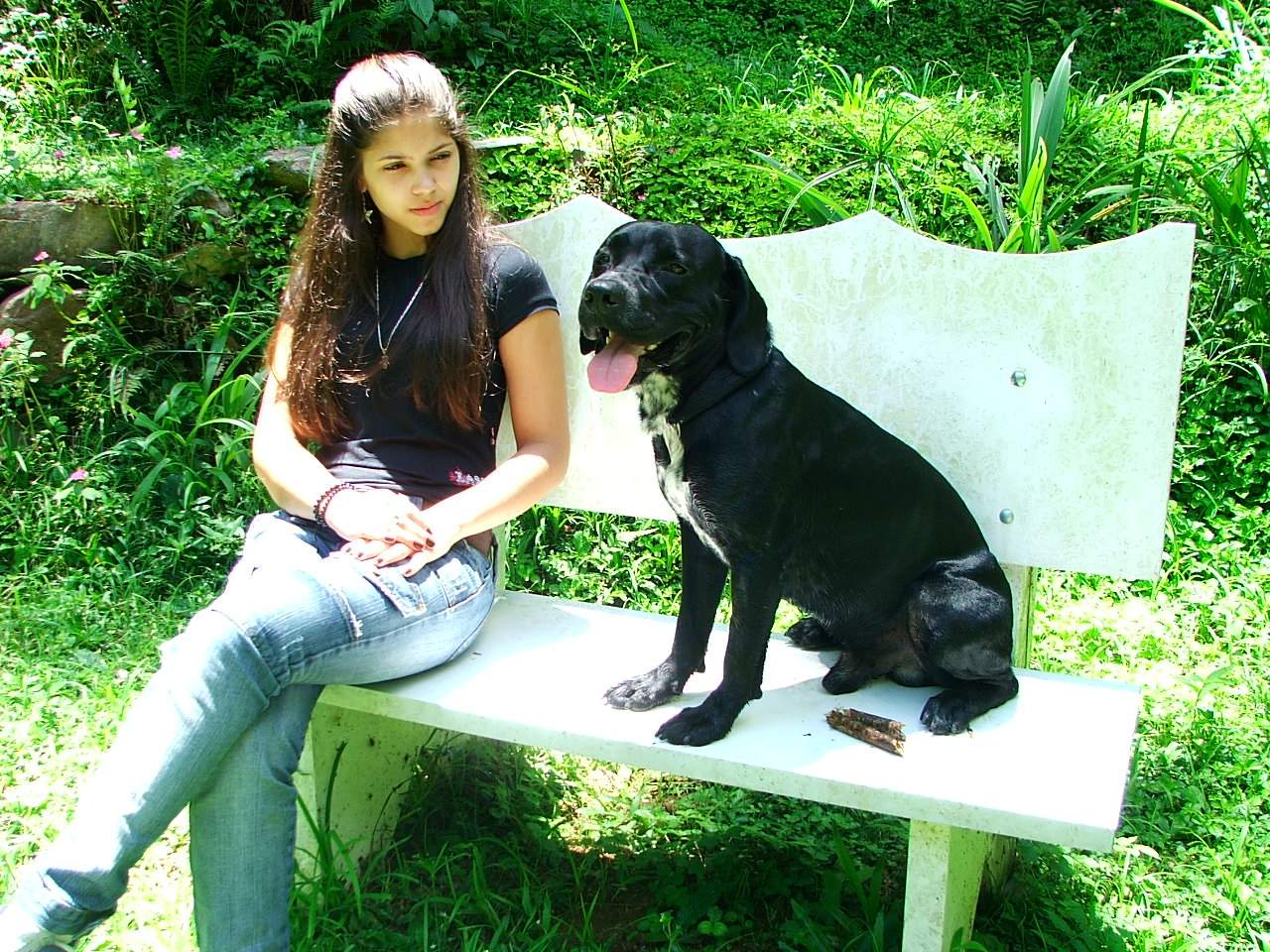 a girl is sitting on a bench next to a dog