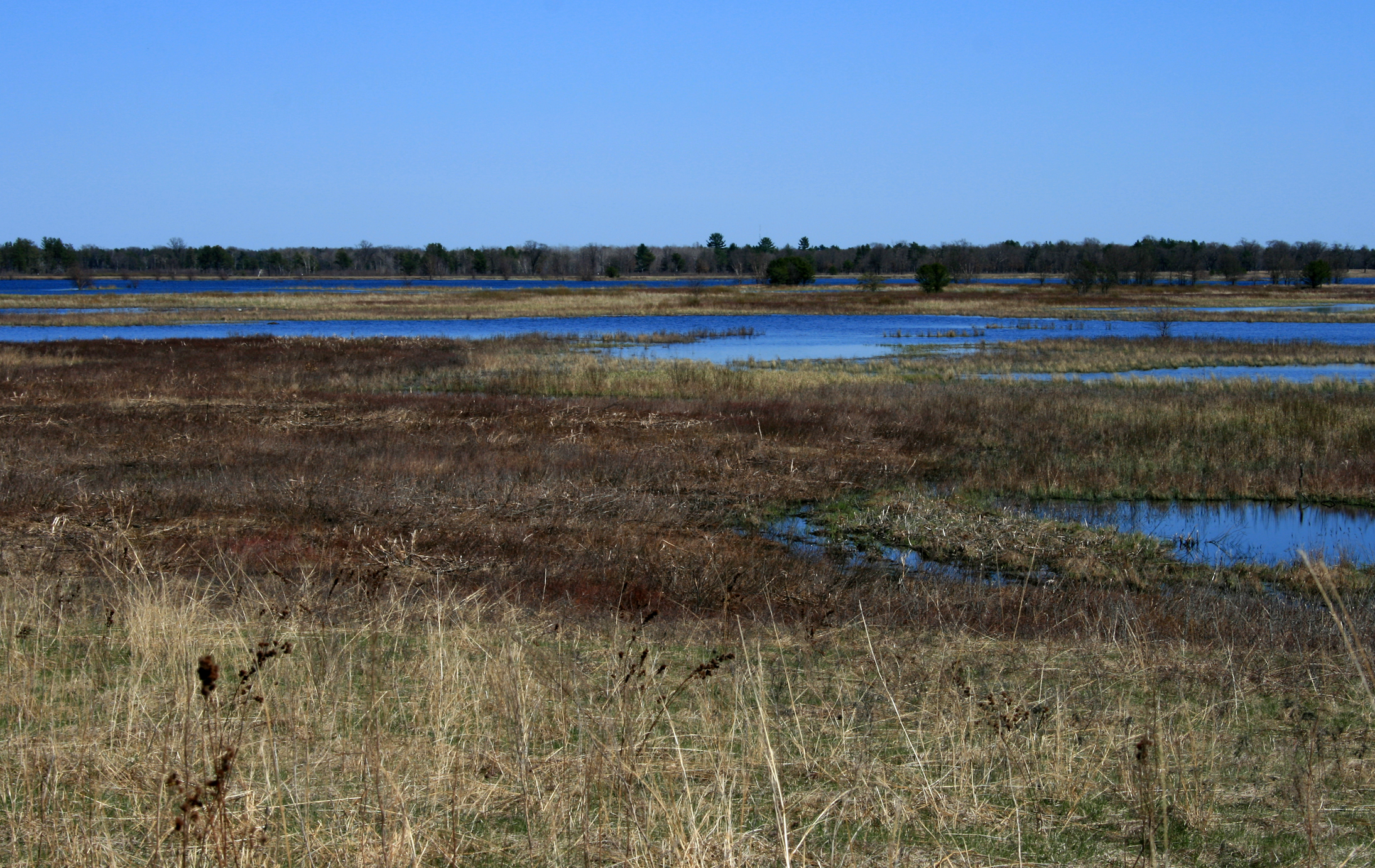 a blue and brown river sits in an open area