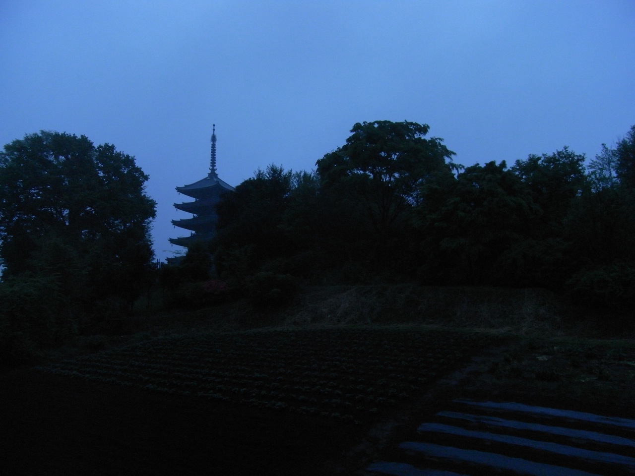 the view of pagoda from across the street