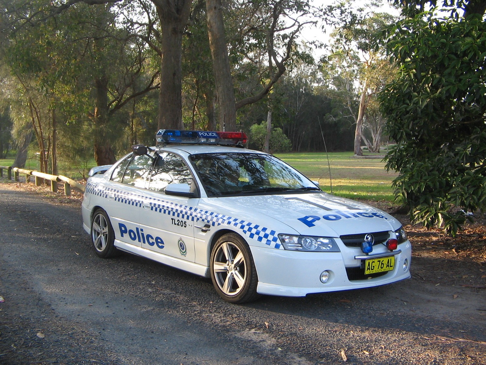 a police car parked next to some trees