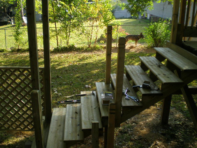 an outdoor porch with wood steps, a tree and tools