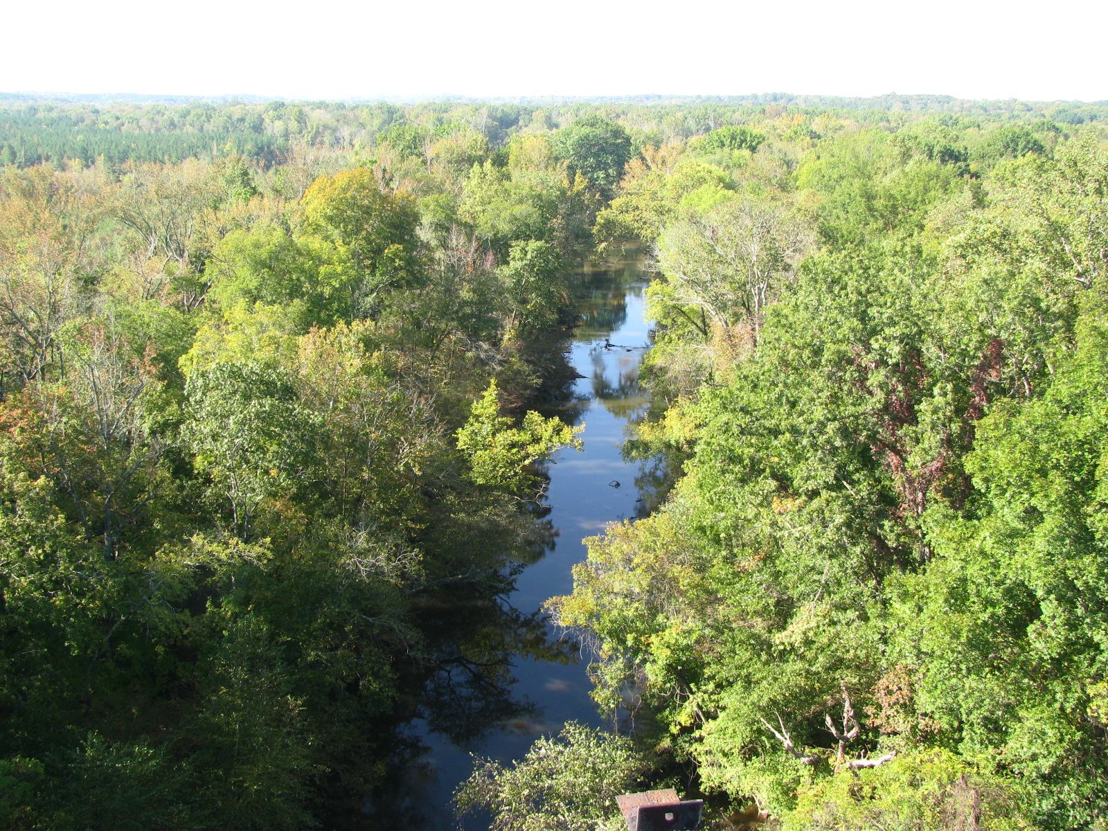 a view of the trees and a body of water