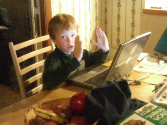 the little boy is at the table using his laptop