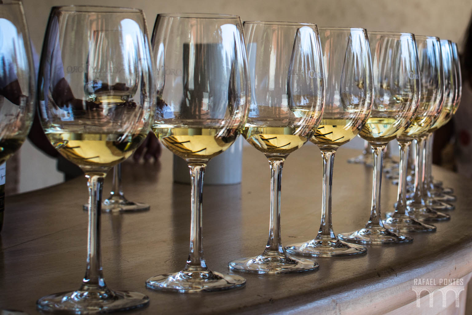 many glasses of wine lined up on a counter