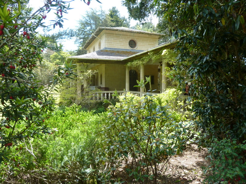 an old house surrounded by bushes and trees