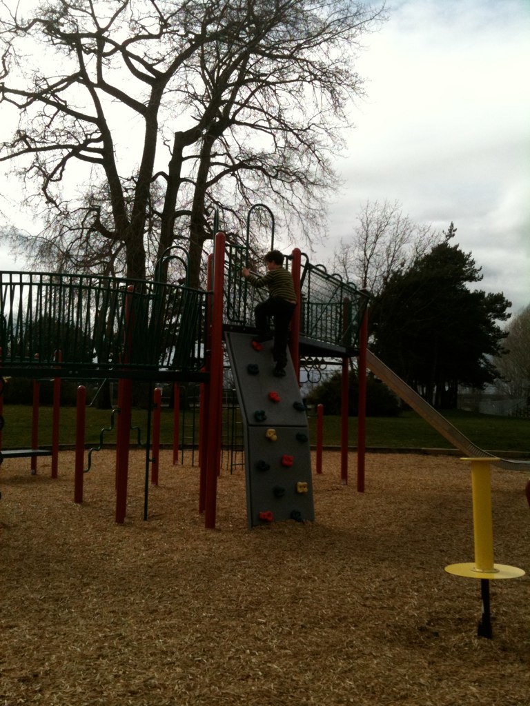 the childrens play area at the park has some trees