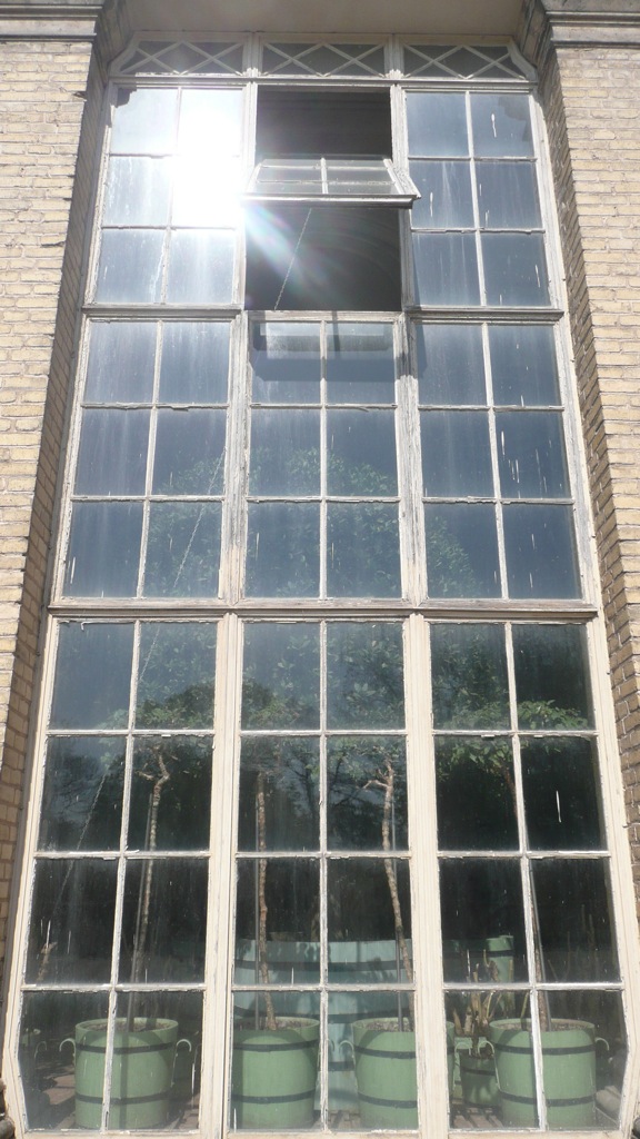 this is the back window of a building with a lot of pots
