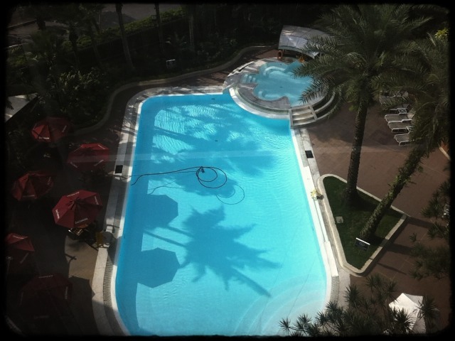 a pool surrounded by palm trees next to an ocean