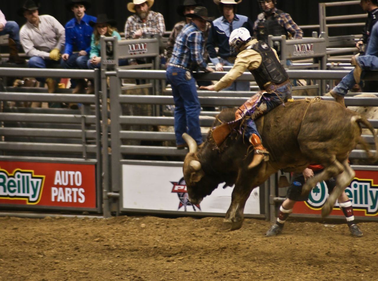 a rodeo rodeo rider on a bull at a rodeo