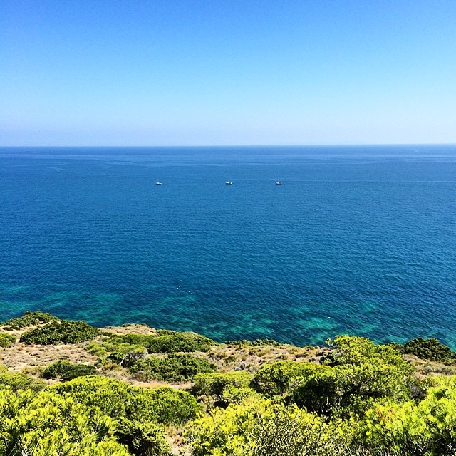 an area of grass near the ocean is very empty